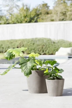 ohgreen Kunststof|Ecocheques|Amsterdam 20cm taupe met waterreservoir