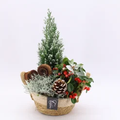 ohgreen Najaar|Ecocheques|Arrangement Gaultheria creatie