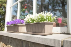 ohgreen Kunststof|Ecocheques|Balkonbak Super 50 cm Taupe