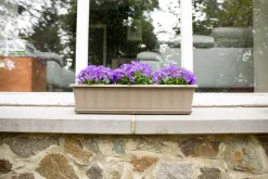 ohgreen Kunststof|Ecocheques|Balkonbak Super 80 cm Taupe