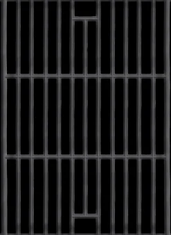 ohgreen Accessoires En Onderhoud|Barbecue grillrooster voor Carbone