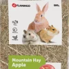 ohgreen Knaagdieren Voeding|Berghooi met appel 500 gr.