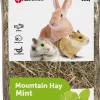 ohgreen Knaagdieren Voeding|Berghooi met munt 500gr.