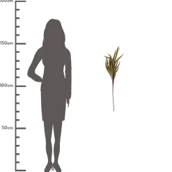 ohgreen Sfeermakers|Bessentak piepschuim beige 77cm