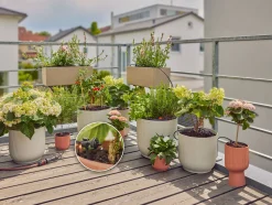 ohgreen Bewatering|Ecocheques|Bewatering Balkon Set