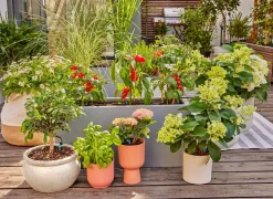 ohgreen Bewatering|Ecocheques|Bewateringsset voor terras