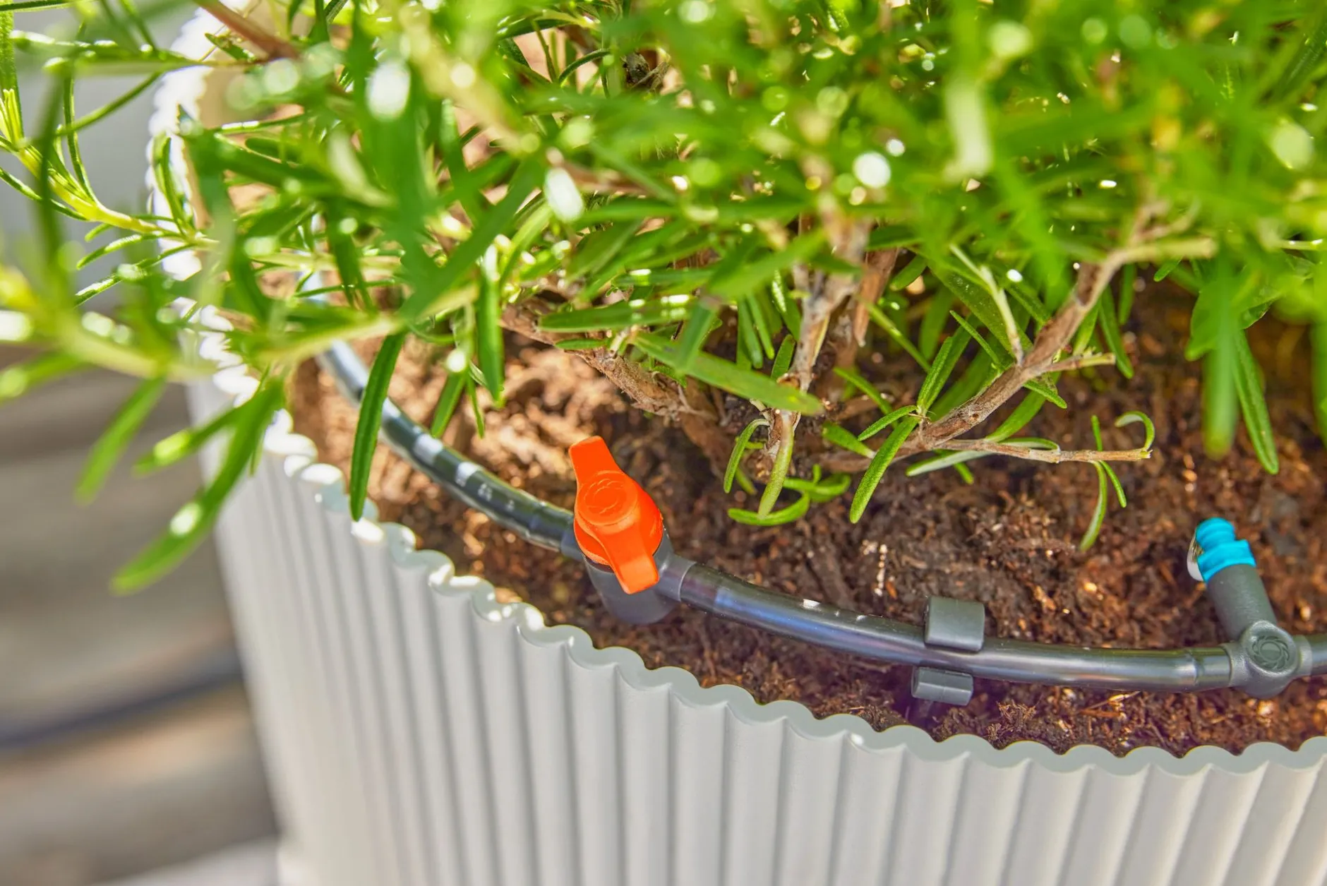 ohgreen Bewatering|Ecocheques|Bewateringsset voor terras