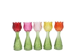 ohgreen Potten En Vazen|Bicolore tulp vaas 7x18