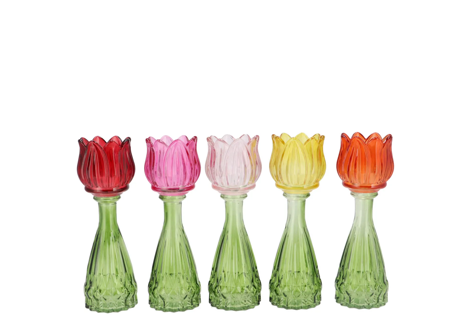 ohgreen Potten En Vazen|Bicolore tulp vaas 7x18