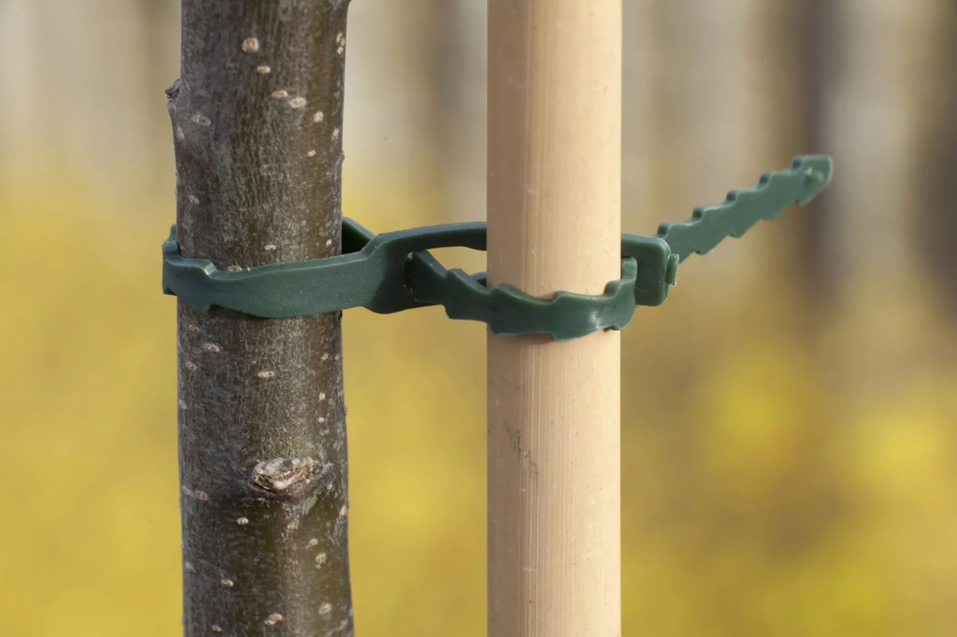 ohgreen Bind En Steun|Ecocheques|Bindband universeel 35cm groen 12 stuks