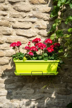 ohgreen Kunststof|Ecocheques|Bloembak relax 60x20h16 lime