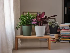 ohgreen Kunststof|Ecocheques|Bloempot Orione 24cm bosgroen
