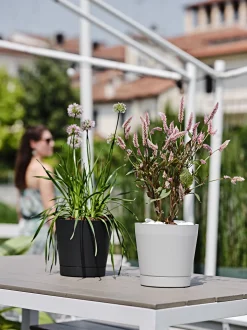 ohgreen Kunststof|Ecocheques|Bloempot Orione 24cm bosgroen