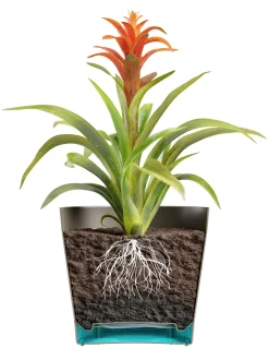 ohgreen Kunststof|Ecocheques|Bloempot Orione 24cm bosgroen