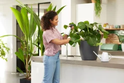 ohgreen Bewatering|Ecocheques|Bloemspuit 0,7l