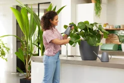 ohgreen Bewatering|Ecocheques|Bloemspuit 0,7l