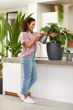 ohgreen Bewatering|Ecocheques|Bloemspuit 0,7l