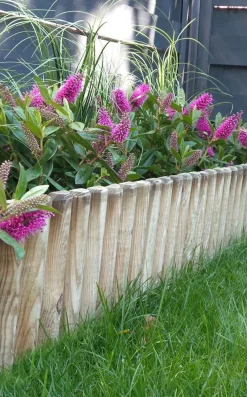 ohgreen Ecocheques|Tuinafsluiting En Hout|Borduur Pinede