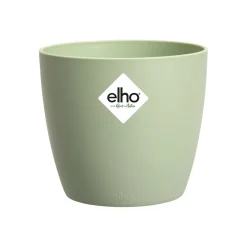 ohgreen Ecocheques|Potten En Vazen|Brussels rond