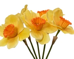 ohgreen Sfeermakers|Bundel op steel