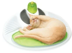 ohgreen Speelgoed|Ca 2.0 wellness center