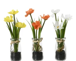 ohgreen Sfeermakers|Calliopsis