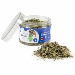 ohgreen Speelgoed|Catnip kruid