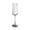 ohgreen Servies|Champagneglas 24cl ray - set/4