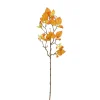 ohgreen Sfeermakers|Herfst|Cornus tak