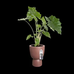 ohgreen Ecocheques|Potten En Vazen|COUPE 41CM ROSY BROWN