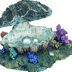 ohgreen Deco|Decoratie schelp (beweging)