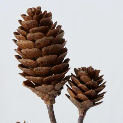 ohgreen Sfeermakers|Herfst|Decoratietak