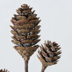 ohgreen Sfeermakers|Herfst|Decoratietak