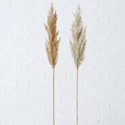 ohgreen Sfeermakers|Decoratietak