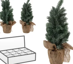 ohgreen Kerstbomen|Dennenboom in pot