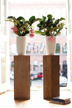 ohgreen Ecocheques|Potten En Vazen|Diamond hoog 27cm