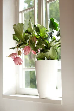 ohgreen Ecocheques|Potten En Vazen|Diamond hoog 27cm