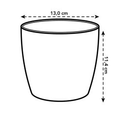 ohgreen Ecocheques|Potten En Vazen|Diamond orchidee 12,5cm