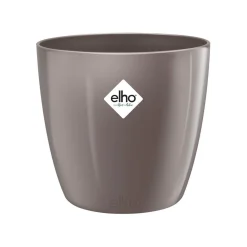 ohgreen Ecocheques|Potten En Vazen|Diamond orchidee hoog 20cm