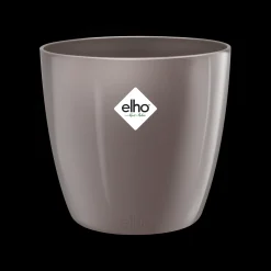 ohgreen Ecocheques|Potten En Vazen|Diamond orchidee hoog 20cm