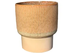 ohgreen Potten En Vazen|Dodo Pot