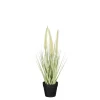 ohgreen Sfeermakers|Dogtail in pot groen - h40xd15cm