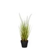 ohgreen Sfeermakers|Dogtail in pot wit - h40xd15cm