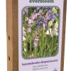 ohgreen Ecocheques|Bloembollen|Doos 'everbloom' met 25 bloembollen hyacinthoides hisp. mix