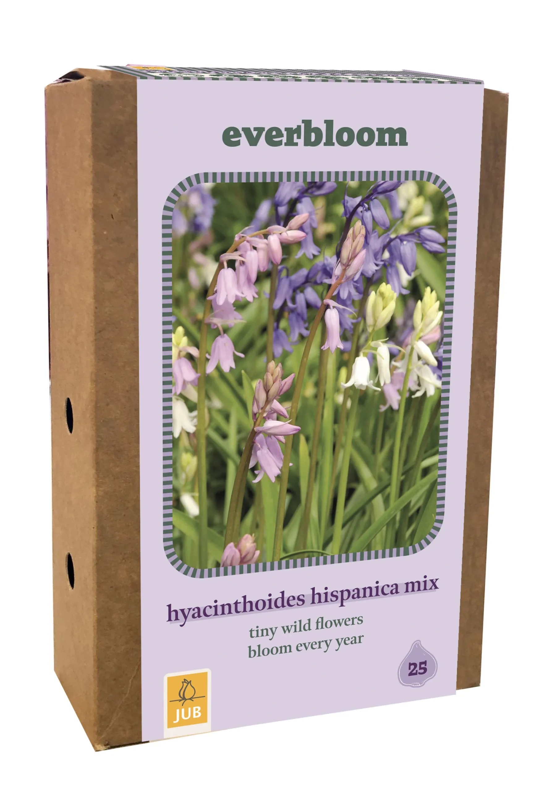 ohgreen Ecocheques|Bloembollen|Doos 'everbloom' met 25 bloembollen hyacinthoides hisp. mix