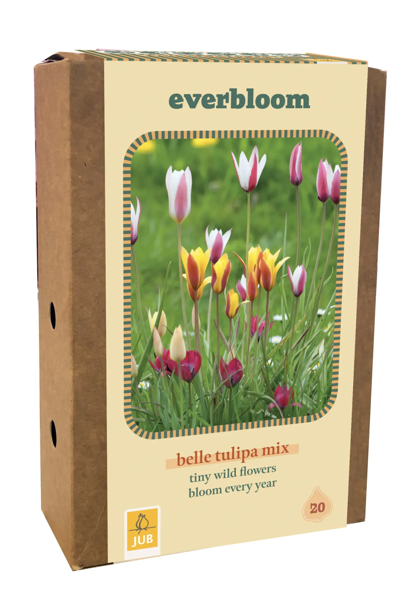 ohgreen Ecocheques|Bloembollen|Doos 'everbloom' met 20 bloembollen tulipa belle tulipa mix