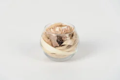 ohgreen Potten En Vazen|Droogbloem in vaas