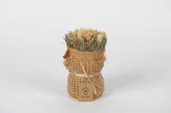 ohgreen Sfeermakers|Droogbloemen