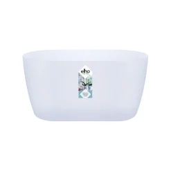 ohgreen Ecocheques|Potten En Vazen|Duo orchidee 25cm