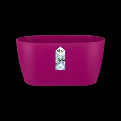 ohgreen Ecocheques|Potten En Vazen|Duo orchidee 25cm